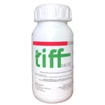 Tiff 040 OD Tiff 040 OD