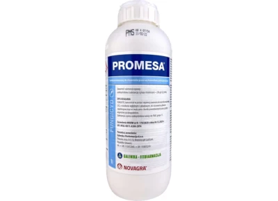 Promesa