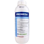 Promesa