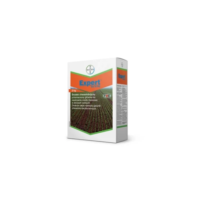 Expert Met 56 WG