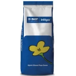 Rzepak ozimy Invigor 2050 F1 C1 1,5mln Zaprawy Integral Pro + Lumiposa