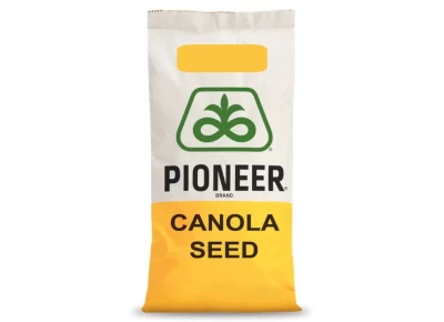 Rzepak ozimy PT322 F1 C1 1,5mln Zaprawy Scenic Gold +Lumiposa