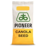 Rzepak ozimy PT322 F1 C1 1,5mln Zaprawy Scenic Gold +Lumiposa