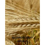 Jęczmień ozimy Jakubus C1+ Zaprawa Kinto Plus - opak. 25kg