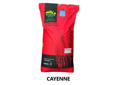 Pszenica ozima C1 RGT Cayenne + Zaprawa Vibrance star - opak. 25kg