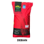 Pszenica ozima Debian C1 + Zaprawa Vibrance star opak. 25kg