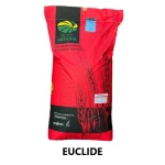 Pszenica ozima C1 Euclide 50kg + Zaprawa Vibrance star