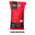 Jęczmień ozimy Fascination 25kg+ Zaprawa Vibrance star
