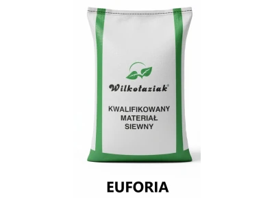 Pszenica ozima C1 Euforia Strzelce opak 50kg