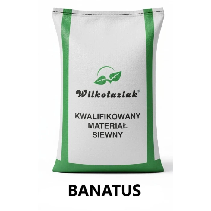 Pszenica ozima C1 Banatus - opak. 50kg