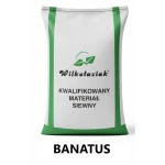 Pszenica ozima C1 Banatus - opak. 50kg
