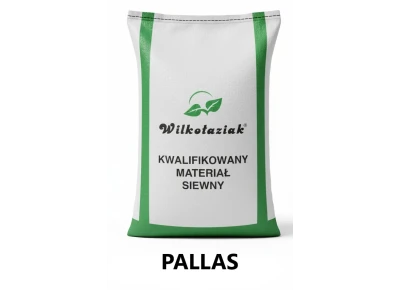 Pszenica ozima C1 Pallas Saaten Union - opak. 25kg
