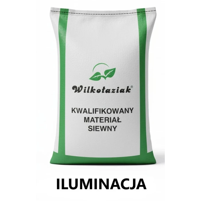 Pszenica ozima C1 Iluminacja Danko - opak. 25kg