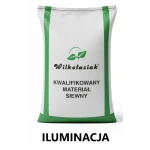 Pszenica ozima C1 Iluminacja Danko - opak. 25kg