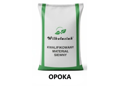 Pszenica ozima C1 Opoka Strzelce Zaprawa Kinto Plus opak. 25kg