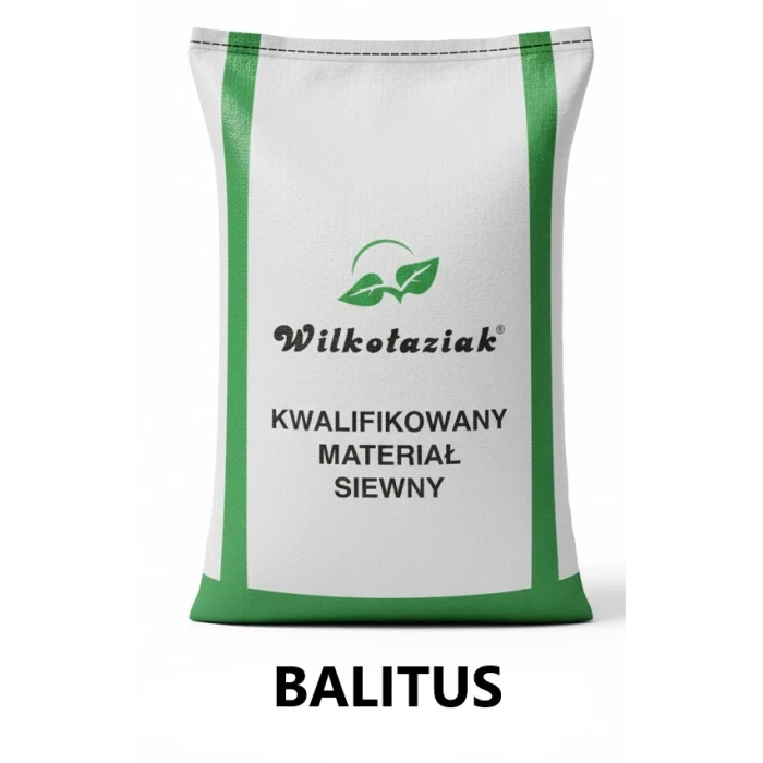 Pszenica ozima C1 Balitus Saatbau - opak. 30kg
