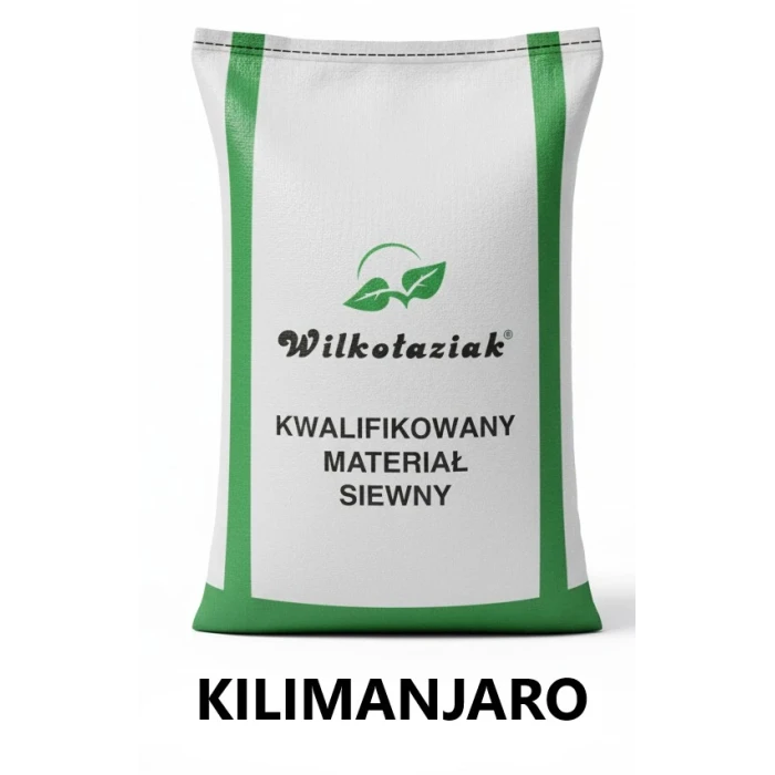 Pszenica ozima C1 Kilimanjaro RGT - opak. 25kg