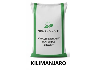 Pszenica ozima C1 Kilimanjaro RGT - opak. 25kg