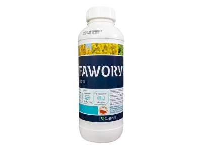 Faworyt 300 SL