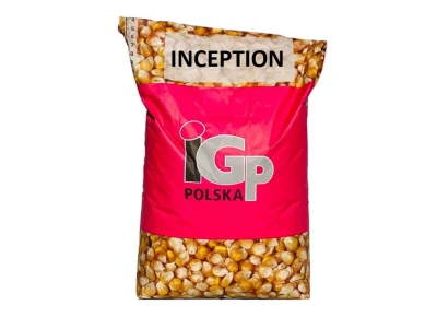 Kukurydza IGP Inception C1 50 tys. nasion (FAO 250) Zaprawa Redigo M 120 FS + Korit 420 FS