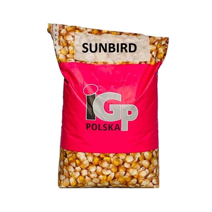 Kukurydza IGP Sunbird C1 50 tys. nasion (FAO 240) Zaprawa Redigo M 120 FS + Korit 420 FS