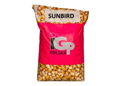 Kukurydza IGP Sunbird C1 50 tys. nasion (FAO 240) Zaprawa Redigo M 120 FS + Korit 420 FS
