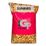 Kukurydza IGP Sunbird C1 50 tys. nasion (FAO 240) Zaprawa Redigo M 120 FS + Korit 420 FS
