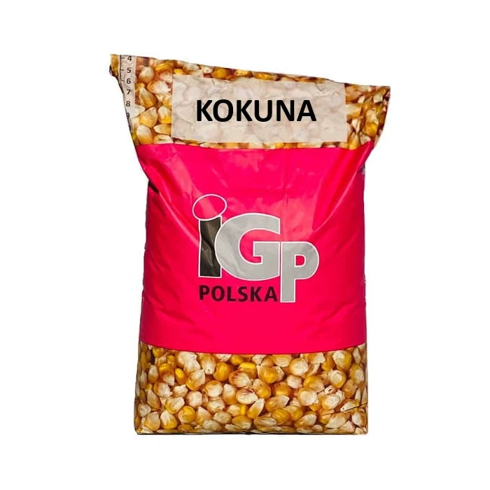 Kukurydza IGP Kokuna C1 50 tys. nasion (FAO 250) Zaprawa Redigo M 120 FS