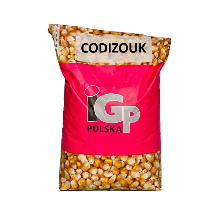 Kukurydza IGP Codizouk C1 50 tys. nasion (FAO Z260/K270)