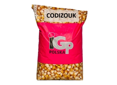 Kukurydza IGP Codizouk C1 50 tys. nasion (FAO Z260/K270)