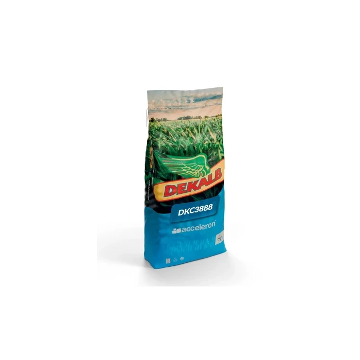 Kukurydza Dekalb DKC 3888 C1 50 tys. nasion (FAO 270)