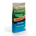 Kukurydza Dekalb DKC 3888 C1 50 tys. nasion (FAO 270)