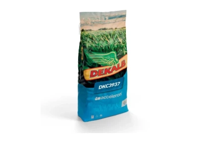Kukurydza Dekalb DKC 3937 C1 50 tys. nasion (FAO 260-270)