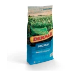 Kukurydza Dekalb DKC 3937 C1 50 tys. nasion (FAO 260-270)