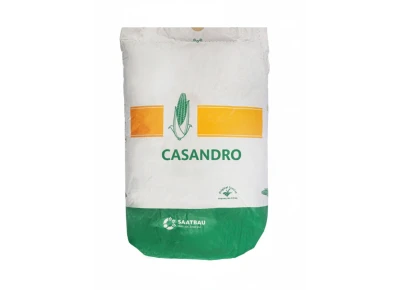 Kukurydza Casandro F1 50tyś C1 zaprawa Optiplus (FAO 240-250)