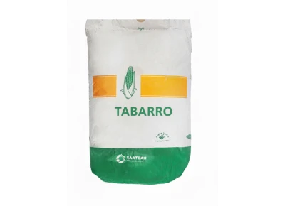 Kukurydza Tabarro F1 50tyś C1 zaprawa Optiplus (FAO 250)