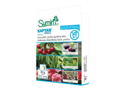 KAPTAN ZAWIESINOWY 50 WP - 50 g