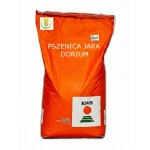 Pszenica Jara Dorium 50kg KWS zaprawa Kinto Plus
