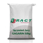 Jęczmień Jary RGT Gagarin C1 zaprawa Celest Trio 060FS Formula M