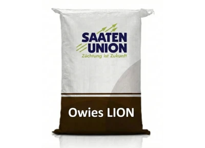 Owies Jary LION - Saaten Union worek 40kg zaprawa Maxim Power