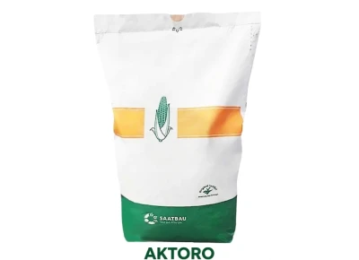 Kukurydza Aktoro C1 FAO 220 Ziarno 50tys Optiplus