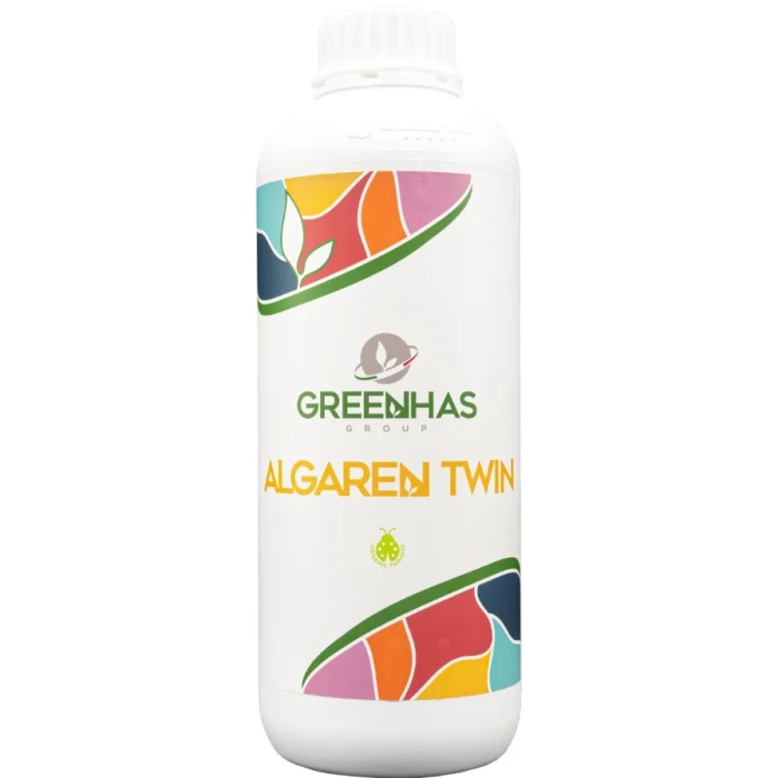Algaren Twin (algi morskie)
