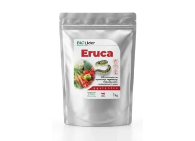Eruca