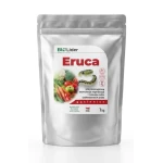 Eruca