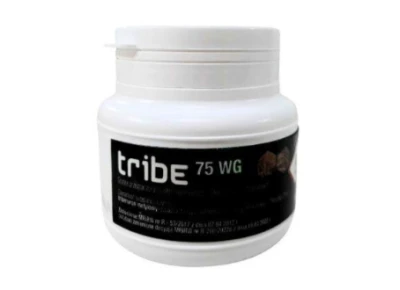 Tribe 75 WG