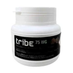 Tribe 75 WG
