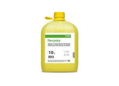 REVYSKY