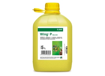 Wing P 462,5 EC