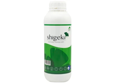 Shigeki