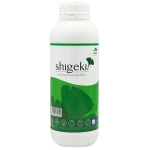 Shigeki